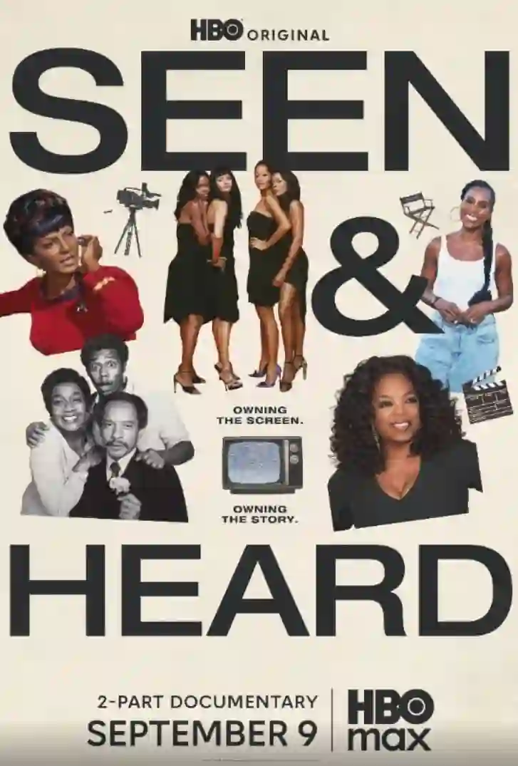 所见所闻：黑人电视史